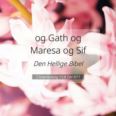 Picture 07 - 2 Krønikebog 11:8 DA1871 - og Gath og Maresa og - Bible Verse Picture
