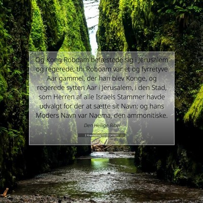 Picture 07 - 2 Krønikebog 12:13 DA1871 - Og Kong Roboam befæstede sig i Jerusalem og - Bible Verse Picture