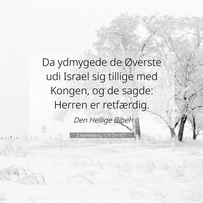 Picture 07 - 2 Krønikebog 12:6 DA1871 - Da ydmygede de Øverste udi Israel sig tillige - Bible Verse Picture