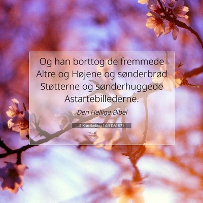 Picture 07 - 2 Krønikebog 14:3 DA1871 - Og han borttog de fremmede Altre og Højene og - Bible Verse Picture