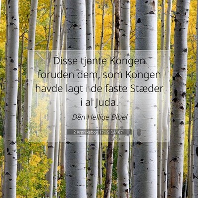 Picture 07 - 2 Krønikebog 17:19 DA1871 - Disse tjente Kongen foruden dem, som Kongen havde - Bible Verse Picture