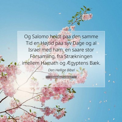 Picture 07 - 2 Krønikebog 7:8 DA1871 - Og Salomo holdt paa den samme Tid en Højtid paa - Bible Verse Picture