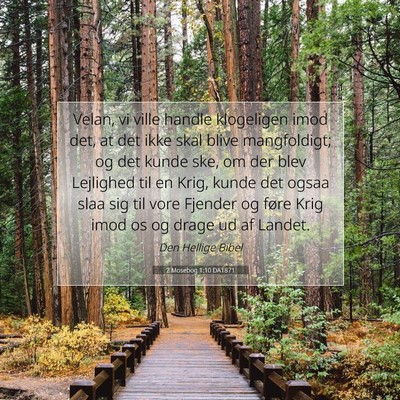 Picture 07 - 2 Mosebog 1:10 DA1871 - Velan, vi ville handle klogeligen imod det, at - Bible Verse Picture