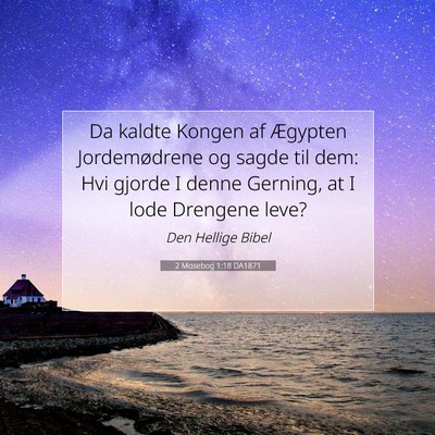Picture 07 - 2 Mosebog 1:18 DA1871 - Da kaldte Kongen af Ægypten Jordemødrene og - Bible Verse Picture