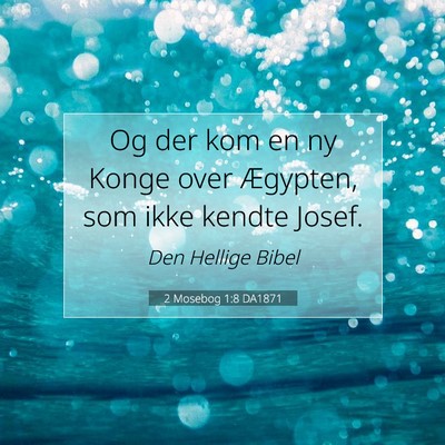 Picture 07 - 2 Mosebog 1:8 DA1871 - Og der kom en ny Konge over Ægypten, som ikke - Bible Verse Picture