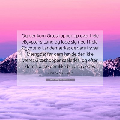 Picture 07 - 2 Mosebog 10:14 DA1871 - Og der kom Græshopper op over hele Ægyptens - Bible Verse Picture