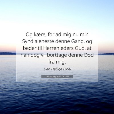 Picture 07 - 2 Mosebog 10:17 DA1871 - Og kære, forlad mig nu min Synd aleneste denne - Bible Verse Picture