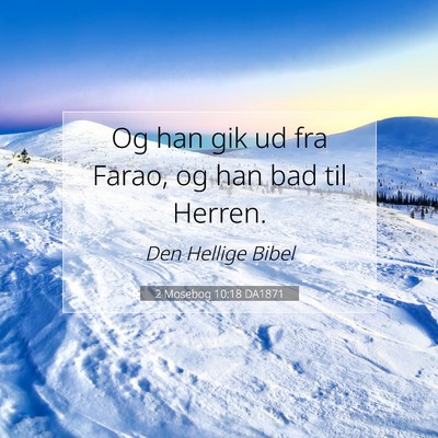 Picture 07 - 2 Mosebog 10:18 DA1871 - Og han gik ud fra Farao, og han bad til - Bible Verse Picture