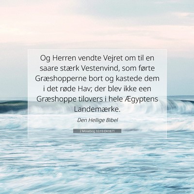 Picture 07 - 2 Mosebog 10:19 DA1871 - Og Herren vendte Vejret om til en saare stærk - Bible Verse Picture
