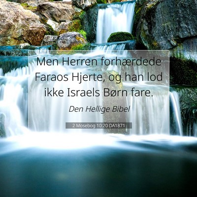 Picture 07 - 2 Mosebog 10:20 DA1871 - Men Herren forhærdede Faraos Hjerte, og han lod - Bible Verse Picture