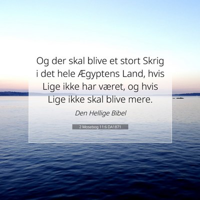 Picture 07 - 2 Mosebog 11:6 DA1871 - Og der skal blive et stort Skrig i det hele - Bible Verse Picture