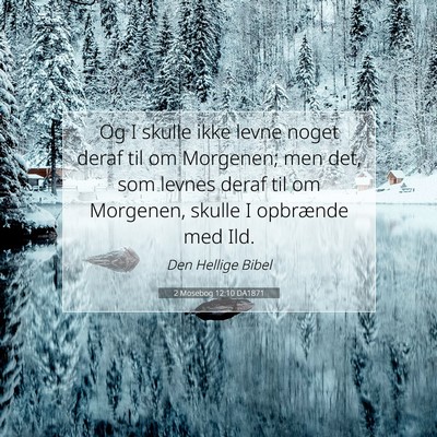 Picture 07 - 2 Mosebog 12:10 DA1871 - Og I skulle ikke levne noget deraf til om - Bible Verse Picture
