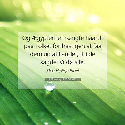 Picture 07 - 2 Mosebog 12:33 DA1871 - Og Ægypterne trængte haardt paa Folket for - Bible Verse Picture