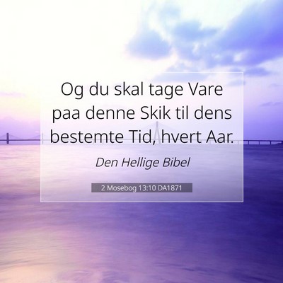 Picture 07 - 2 Mosebog 13:10 DA1871 - Og du skal tage Vare paa denne Skik til dens - Bible Verse Picture