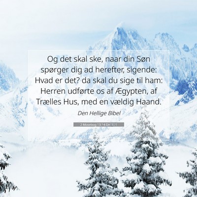 Picture 07 - 2 Mosebog 13:14 DA1871 - Og det skal ske, naar din Søn spørger dig ad - Bible Verse Picture