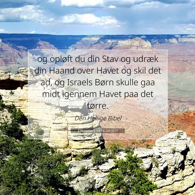 Picture 07 - 2 Mosebog 14:16 DA1871 - og opløft du din Stav og udræk din Haand over - Bible Verse Picture