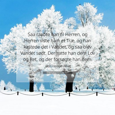 Picture 07 - 2 Mosebog 15:25 DA1871 - Saa raabte han til Herren, og Herren viste ham et - Bible Verse Picture