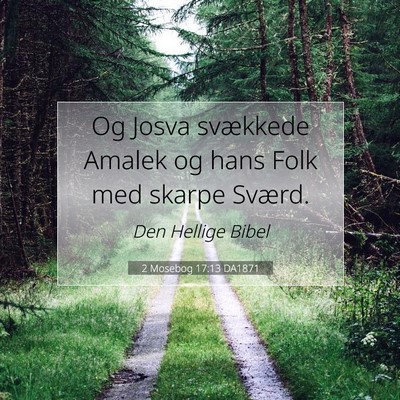 Picture 07 - 2 Mosebog 17:13 DA1871 - Og Josva svækkede Amalek og hans Folk med skarpe - Bible Verse Picture
