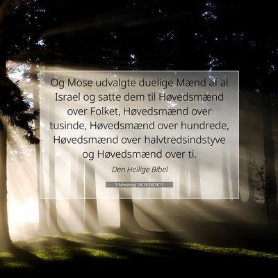 Picture 07 - 2 Mosebog 18:25 DA1871 - Og Mose udvalgte duelige Mænd af al Israel og - Bible Verse Picture