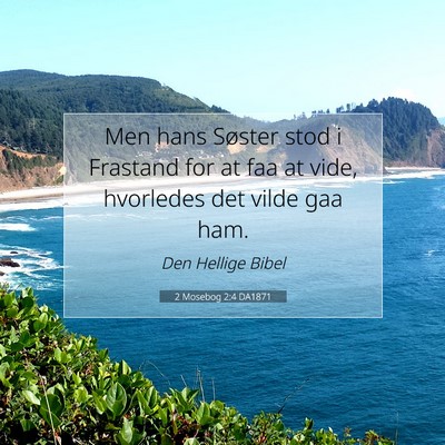 Picture 07 - 2 Mosebog 2:4 DA1871 - Men hans Søster stod i Frastand for at faa at - Bible Verse Picture