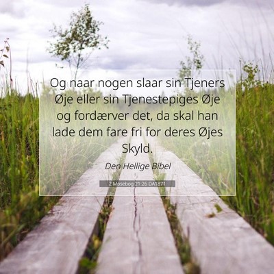 Picture 07 - 2 Mosebog 21:26 DA1871 - Og naar nogen slaar sin Tjeners Øje eller sin - Bible Verse Picture