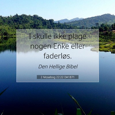 Picture 07 - 2 Mosebog 22:22 DA1871 - I skulle ikke plage nogen Enke eller - Bible Verse Picture