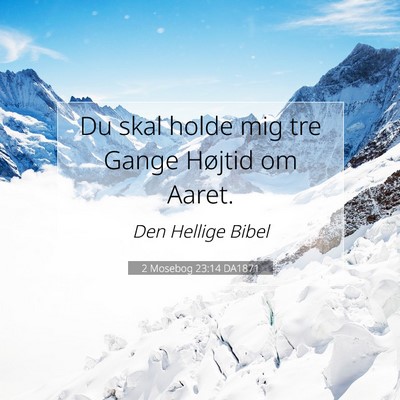 Picture 07 - 2 Mosebog 23:14 DA1871 - Du skal holde mig tre Gange Højtid om - Bible Verse Picture