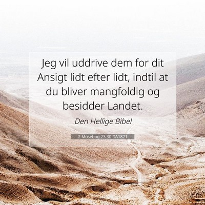 Picture 07 - 2 Mosebog 23:30 DA1871 - Jeg vil uddrive dem for dit Ansigt lidt efter - Bible Verse Picture