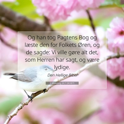Picture 07 - 2 Mosebog 24:7 DA1871 - Og han tog Pagtens Bog og læste den for Folkets - Bible Verse Picture