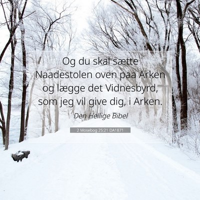 Picture 07 - 2 Mosebog 25:21 DA1871 - Og du skal sætte Naadestolen oven paa Arken og - Bible Verse Picture