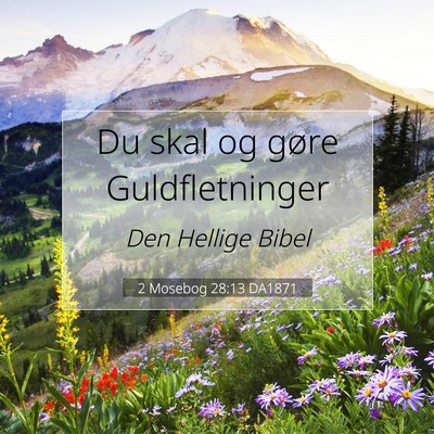 Picture 07 - 2 Mosebog 28:13 DA1871 - Du skal og gøre - Bible Verse Picture