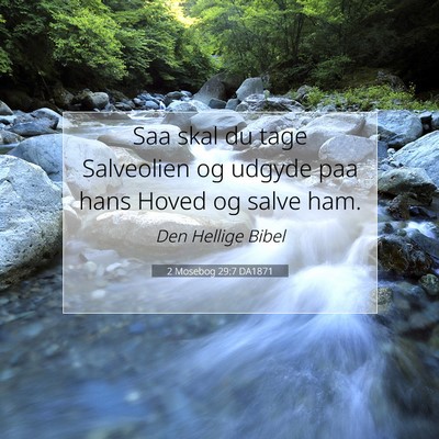 Picture 07 - 2 Mosebog 29:7 DA1871 - Saa skal du tage Salveolien og udgyde paa hans - Bible Verse Picture