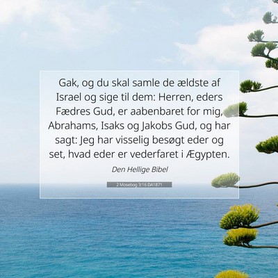Picture 07 - 2 Mosebog 3:16 DA1871 - Gak, og du skal samle de ældste af Israel og - Bible Verse Picture