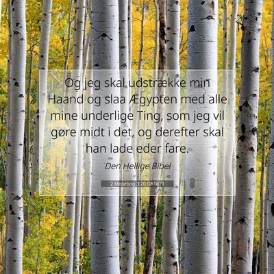 Picture 07 - 2 Mosebog 3:20 DA1871 - Og jeg skal udstrække min Haand og slaa Ægypten - Bible Verse Picture
