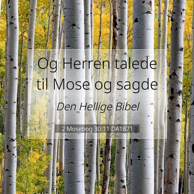 Picture 07 - 2 Mosebog 30:11 DA1871 - Og Herren talede til Mose og - Bible Verse Picture