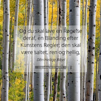 Picture 07 - 2 Mosebog 30:35 DA1871 - Og du skal lave en Røgelse deraf, en Blanding - Bible Verse Picture