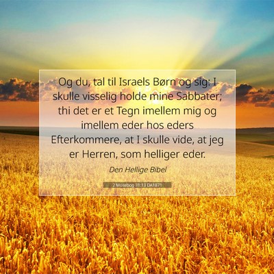 Picture 07 - 2 Mosebog 31:13 DA1871 - Og du, tal til Israels Børn og sig: I skulle - Bible Verse Picture