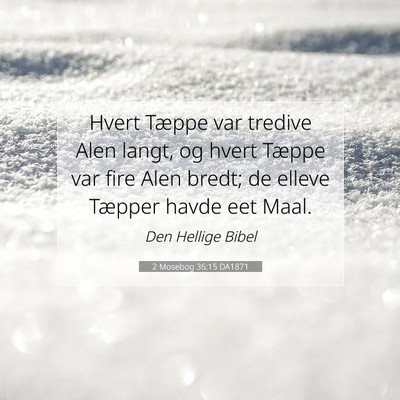 Picture 07 - 2 Mosebog 36:15 DA1871 - Hvert Tæppe var tredive Alen langt, og hvert - Bible Verse Picture