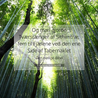 Picture 07 - 2 Mosebog 36:31 DA1871 - Og man gjorde Tværstænger af Sithimtræ; fem - Bible Verse Picture