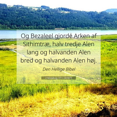 Picture 07 - 2 Mosebog 37:1 DA1871 - Og Bezaleel gjorde Arken af Sithimtræ, halv - Bible Verse Picture