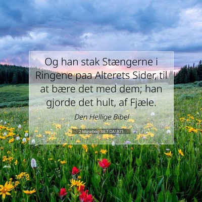 Picture 07 - 2 Mosebog 38:7 DA1871 - Og han stak Stængerne i Ringene paa Alterets - Bible Verse Picture