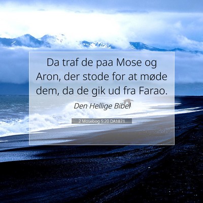 Picture 07 - 2 Mosebog 5:20 DA1871 - Da traf de paa Mose og Aron, der stode for at - Bible Verse Picture