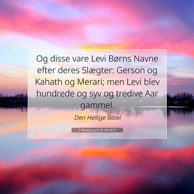 Picture 07 - 2 Mosebog 6:16 DA1871 - Og disse vare Levi Børns Navne efter deres - Bible Verse Picture