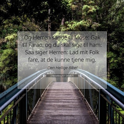 Picture 07 - 2 Mosebog 8:1 DA1871 - Og Herren sagde til Mose: Gak til Farao, og du - Bible Verse Picture