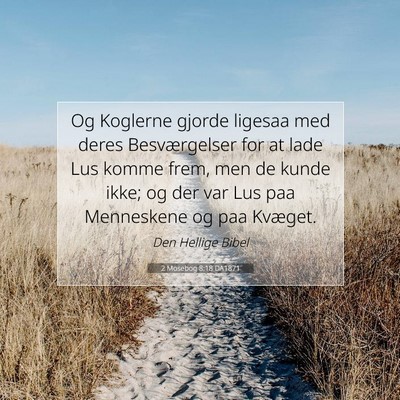 Picture 07 - 2 Mosebog 8:18 DA1871 - Og Koglerne gjorde ligesaa med deres - Bible Verse Picture