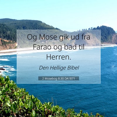 Picture 07 - 2 Mosebog 8:30 DA1871 - Og Mose gik ud fra Farao og bad til - Bible Verse Picture