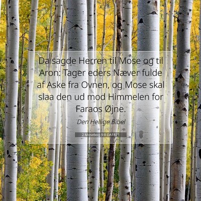 Picture 07 - 2 Mosebog 9:8 DA1871 - Da sagde Herren til Mose og til Aron: Tager eders - Bible Verse Picture