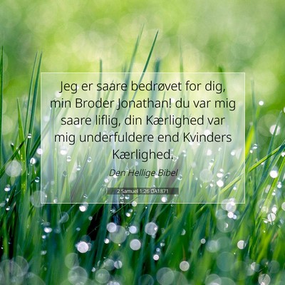 Picture 07 - 2 Samuel 1:26 DA1871 - Jeg er saare bedrøvet for dig, min Broder - Bible Verse Picture