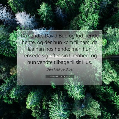 Picture 07 - 2 Samuel 11:4 DA1871 - Da sendte David Bud og lod hende hente, og der - Bible Verse Picture