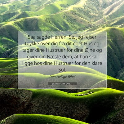 Picture 07 - 2 Samuel 12:11 DA1871 - Saa sagde Herren: Se, jeg rejser Ulykke over dig - Bible Verse Picture